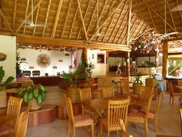 Las Palapas3