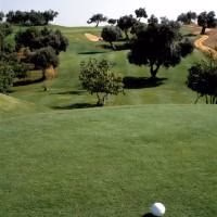 Luna Villa Alba3