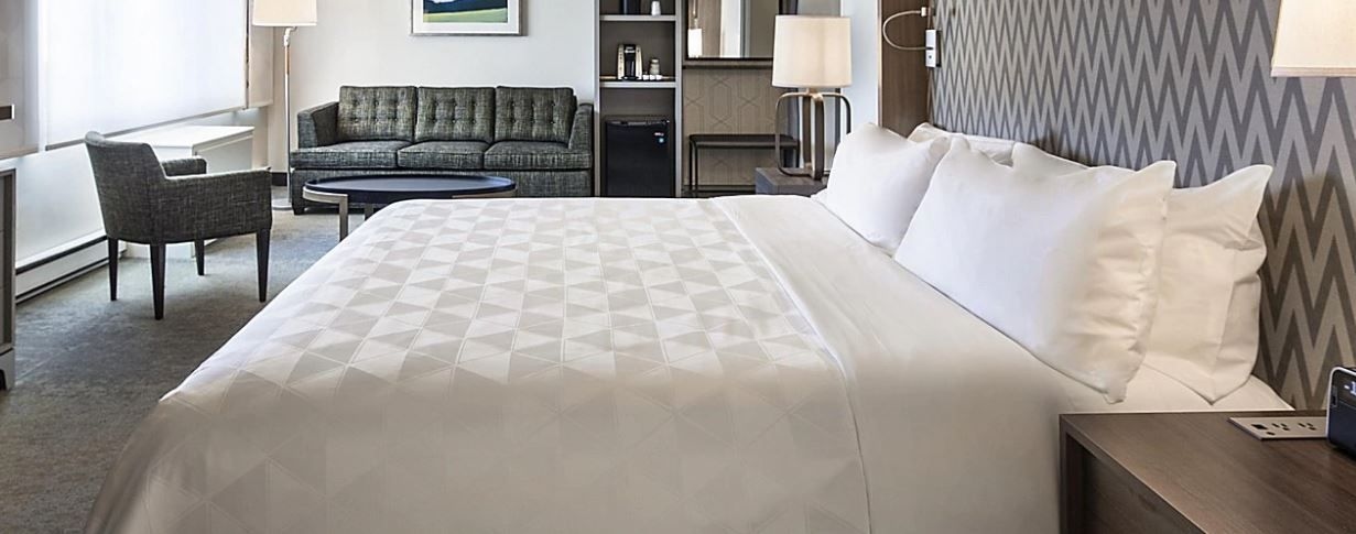 HOLIDAY INN MONTREAL-LONGUEUIL3