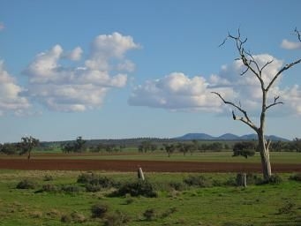 COUNTRY COMFORT3
