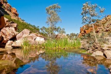Chifley Resort3