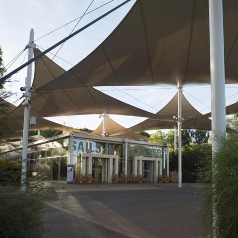Sails In The Desert1