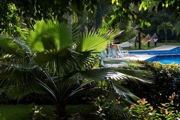 CIUDAD REAL PALENQUE1