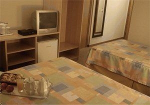 TULIP INN3