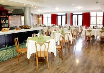 TULIP INN1