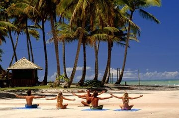 Eco Resort4