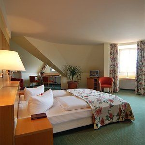 TOP VCH LUTHER HOTEL4