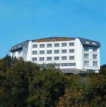 Hotel Avenida0