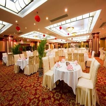 Tianyu Gloria3