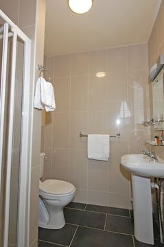 Maple1