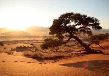 NAMIB DESERT LODGE1