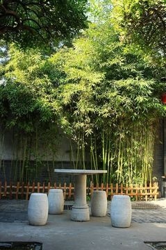 Lu Song Yuan3