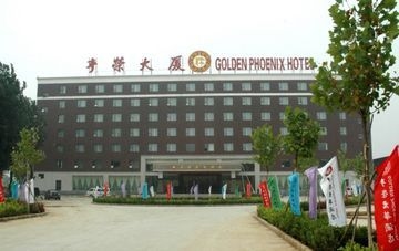 Golden Phoenix0