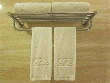 Ace Hotel & Suites1