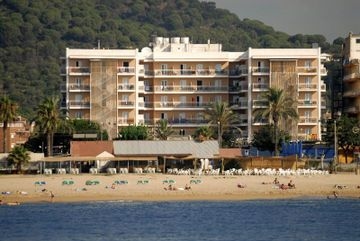 SORRA DAURADA0