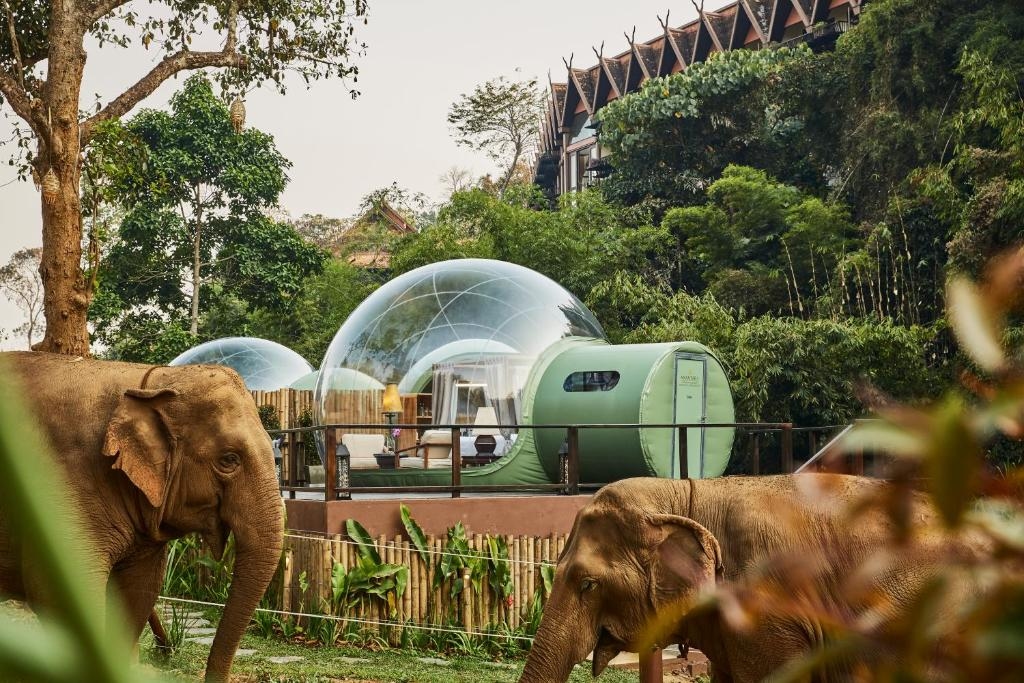 อนันตรา สามเหลี่ยมทองคำ แคมป์ช้างแอนด์รีสอร์ต (Anantara Golden Triangle Elephant Camp & Resort)0