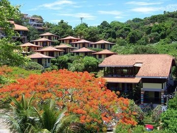 Hibiscus Beach0