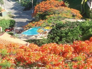 Hibiscus Beach1