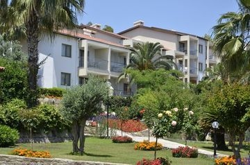 Barut Arum0