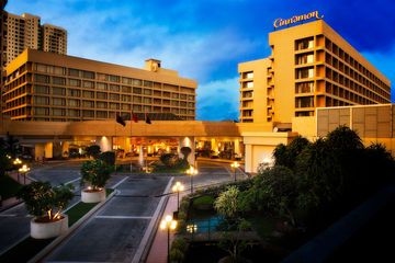 Cinnamon Grand0