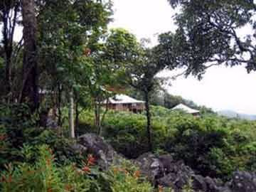 Popa Mountain0