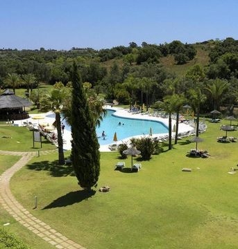 Yellow Alvor Garden1