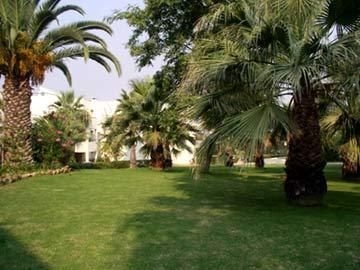 Oasis Village3