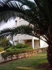 Oasis Village1