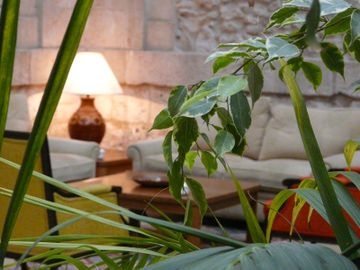 Convento Las Claras2