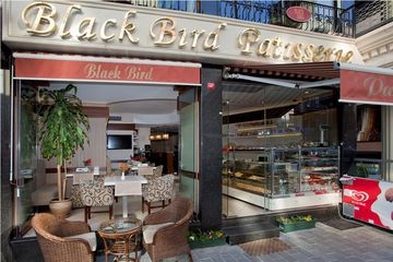 BLACKBIRD2