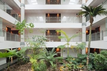 Holiday Inn Elche4
