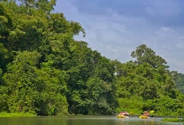 Rainforest Resort0