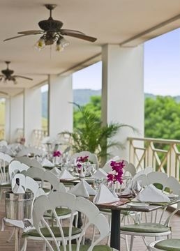 Rainforest Resort4