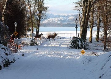 The Lake Hotel Killarney3