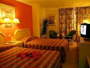 Golden Tulip4