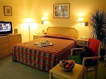Golden Tulip3