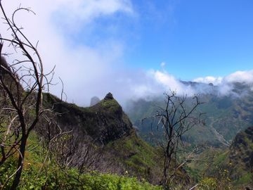 ESTALAGEM PICO DA URZE2