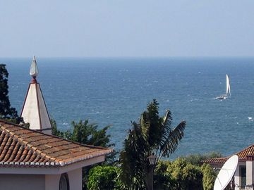 Madeira Bright Star1