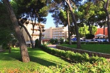 Palma Bay0