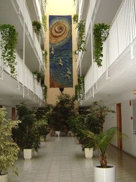 Avenida Apartments3
