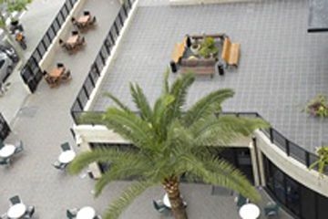 JOYA HOTEL1