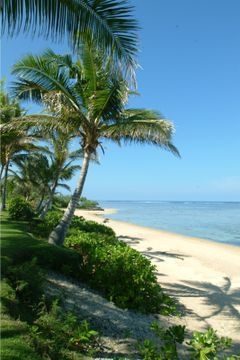 Bedarra Beach Inn4
