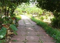Pindaya Inle Inn1