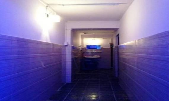 Daddy's Home Hotel1