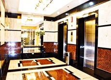 Golden Panda Dormtel3