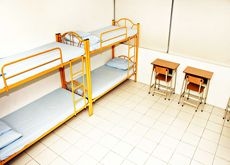 Golden Panda Dormtel4
