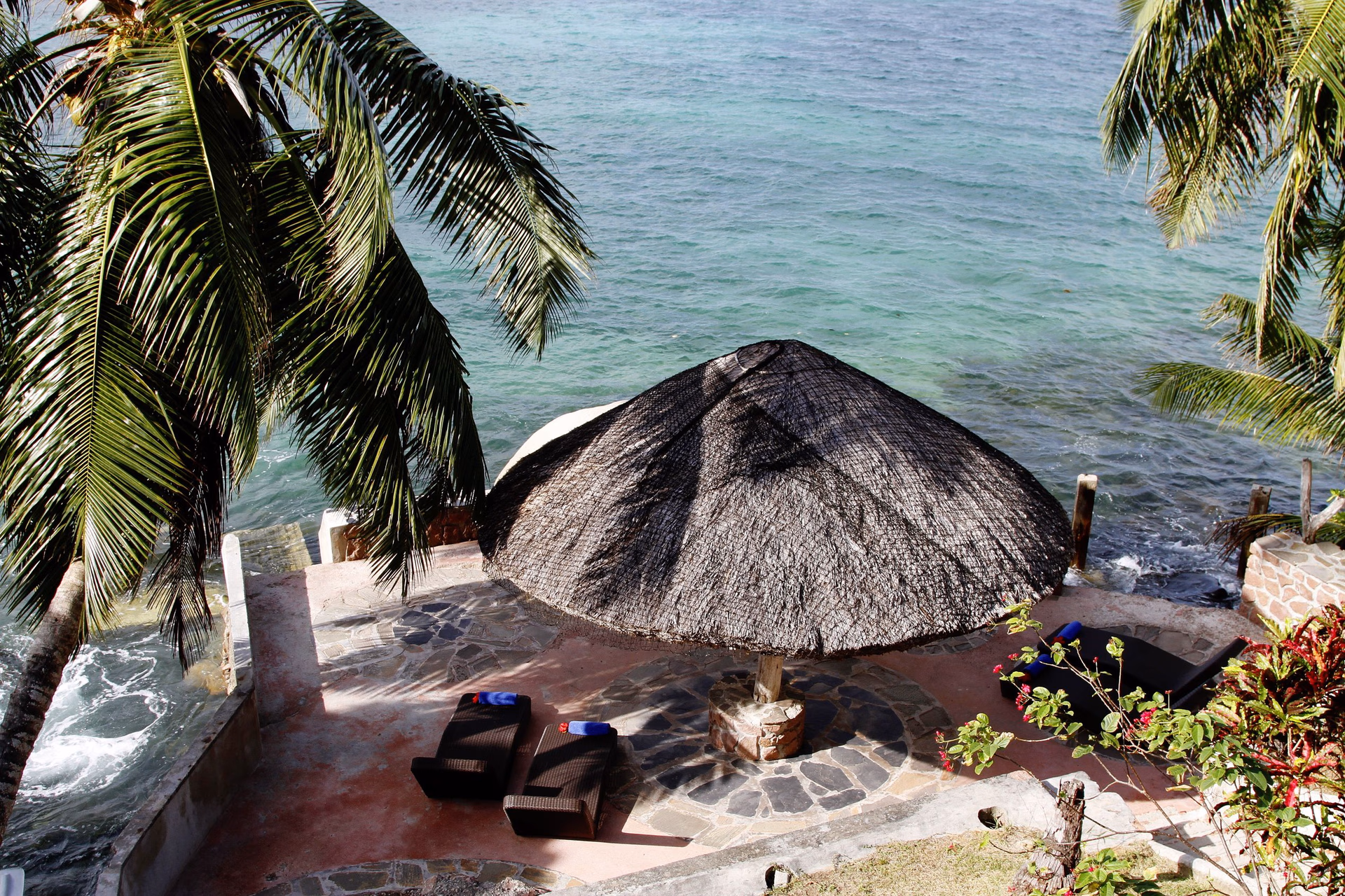 Colibri Guest House4
