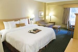 Hampton Inn New Orleans/St.Charles Ave4