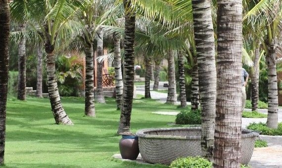 The Pegasus Resort2