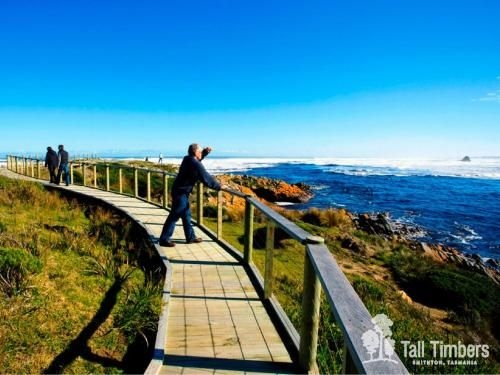 Tall Timbers Tasmania4